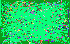reverese telephone number lookup